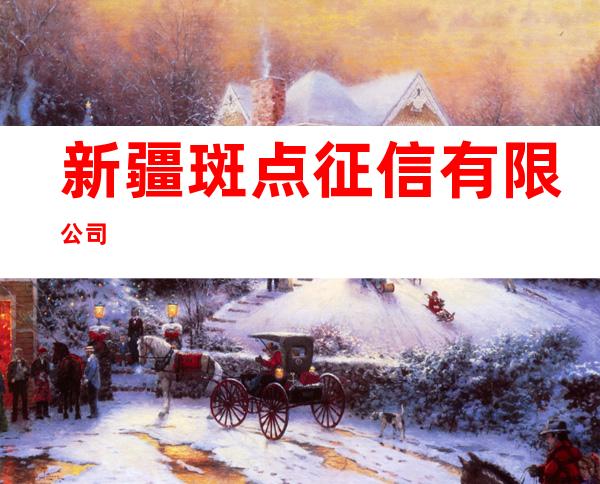 新疆斑点征信有限公司