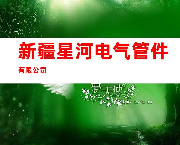 新疆星河电气管件有限公司