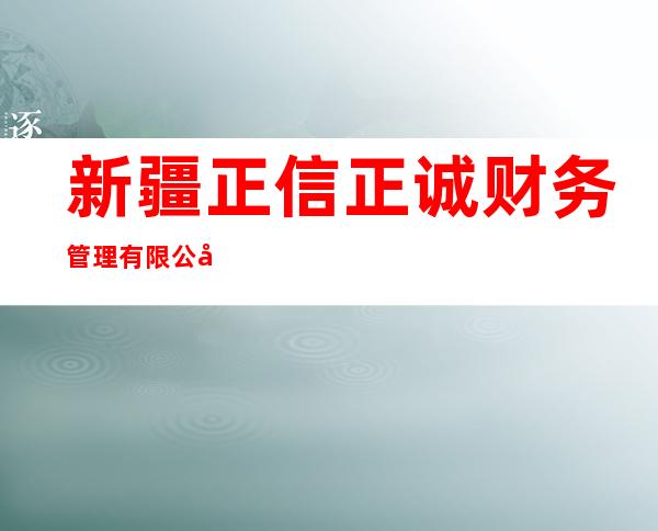 新疆正信正诚财务管理有限公司
