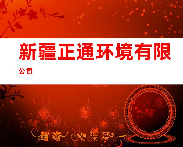 新疆正通环境有限公司