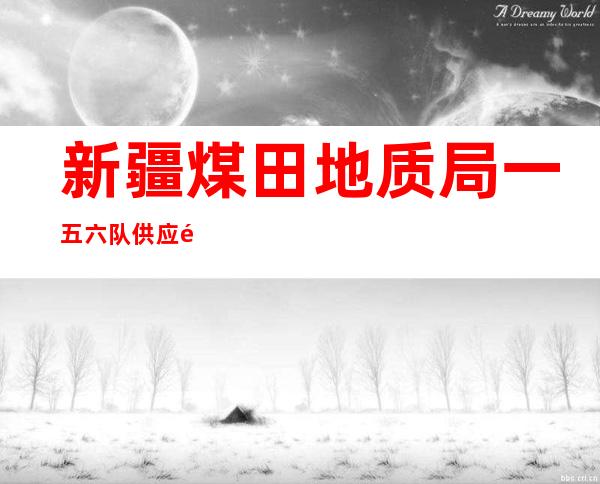 新疆煤田地质局一五六队供应链管理公司