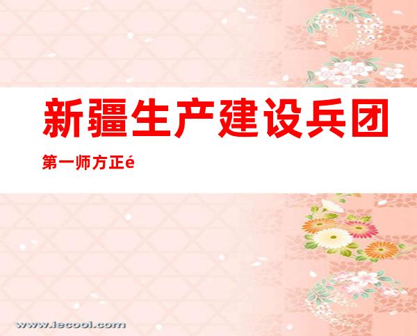 新疆生产建设兵团第一师方正造价有限公司