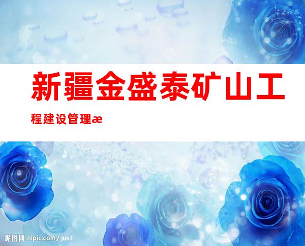 新疆金盛泰矿山工程建设管理有限公司