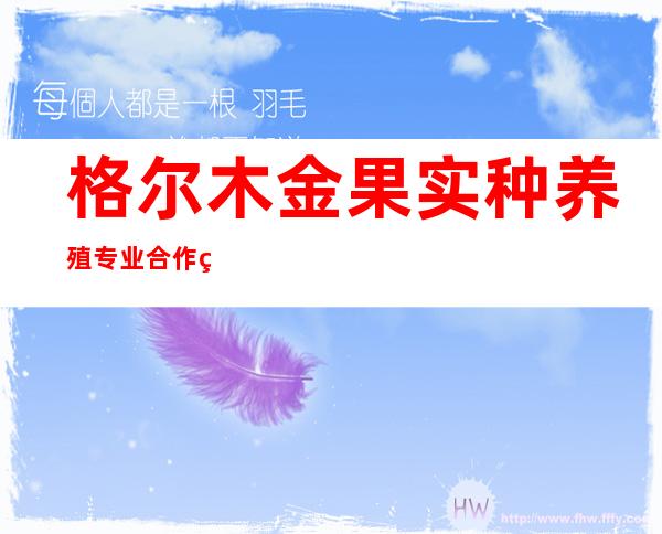 格尔木金果实种养殖专业合作社