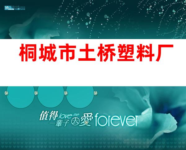 桐城市土桥塑料厂