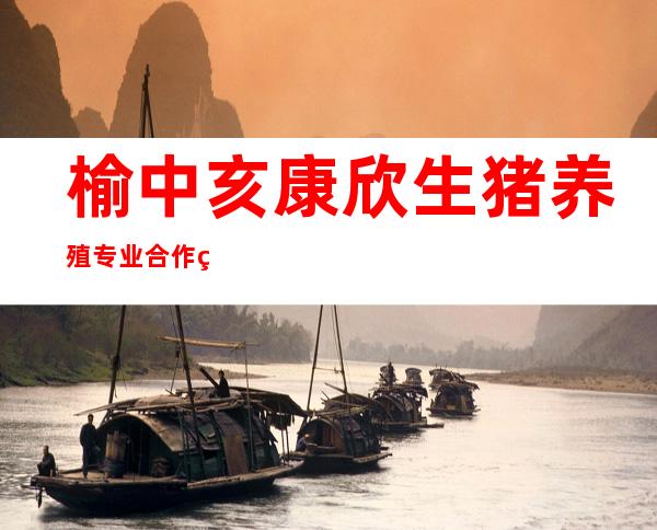 榆中亥康欣生猪养殖专业合作社