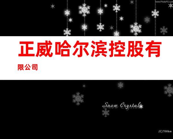 正威哈尔滨控股有限公司