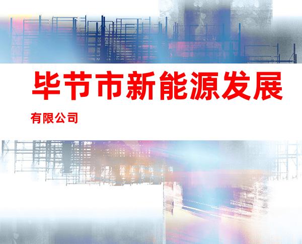 毕节市新能源发展有限公司
