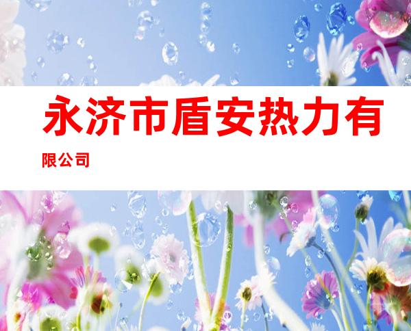 永济市盾安热力有限公司