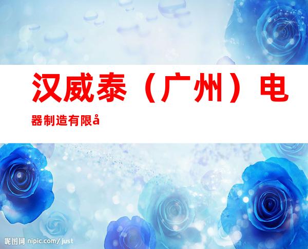 汉威泰(广州)电器制造有限公司