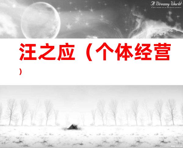 汪之应（个体经营）