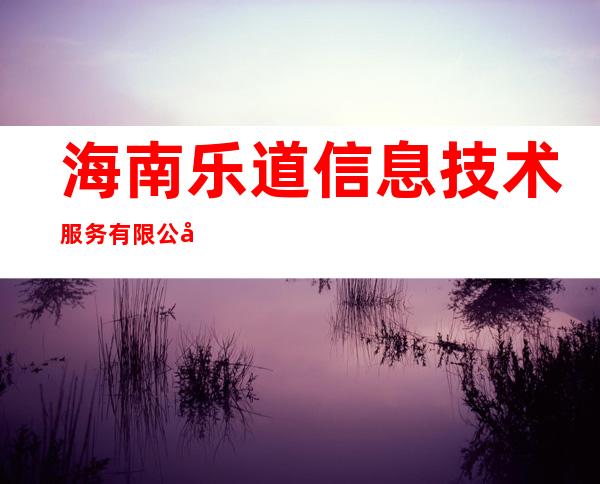 海南乐道信息技术服务有限公司