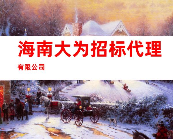 海南大为招标代理有限公司