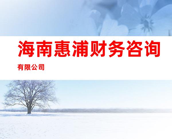 海南惠浦财务咨询有限公司