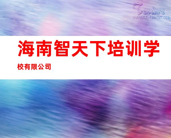 海南智天下培训学校有限公司