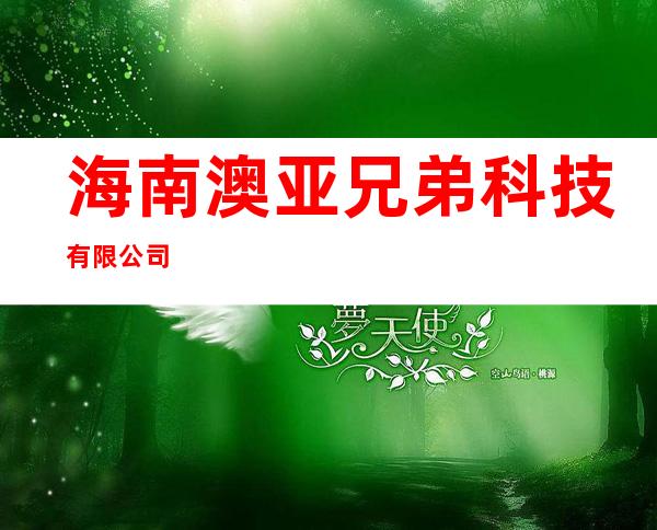 海南澳亚兄弟科技有限公司