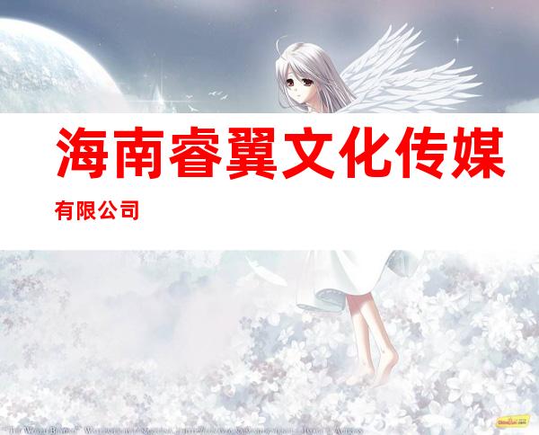 海南睿翼文化传媒有限公司