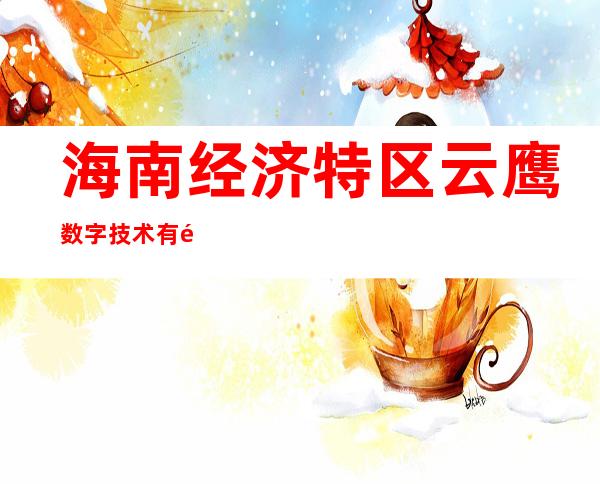 海南经济特区云鹰数字技术有限公司