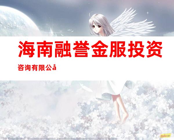 海南融誉金服投资咨询有限公司