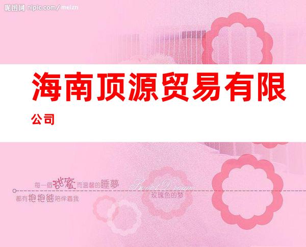 海南顶源贸易有限公司