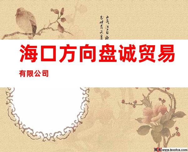 海口方向盘诚贸易有限公司