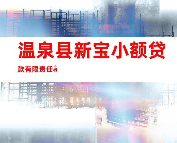 温泉县新宝小额贷款有限责任公司