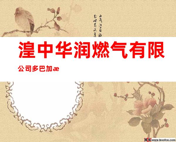湟中华润燃气有限公司多巴加气站