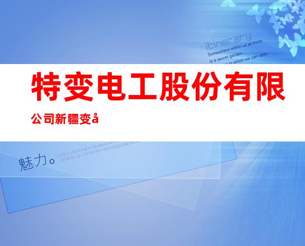 特变电工股份有限公司新疆变压器厂