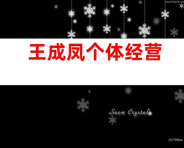 王成凤个体经营