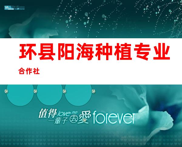 环县阳海种植专业合作社