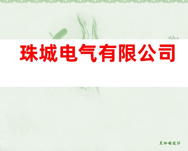 珠城电气有限公司