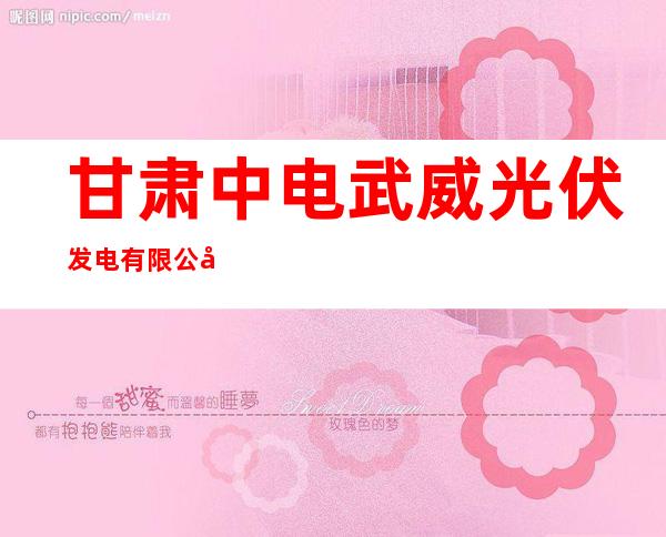 甘肃中电武威光伏发电有限公司