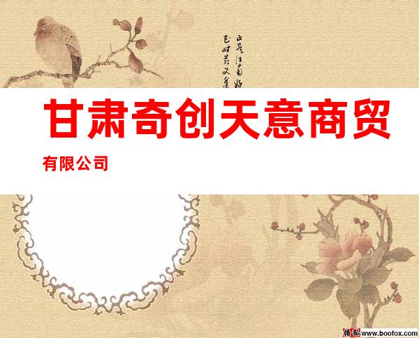 甘肃奇创天意商贸有限公司