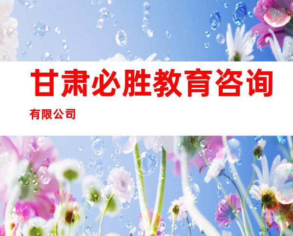甘肃必胜教育咨询有限公司