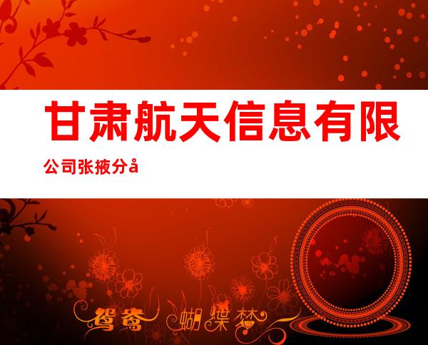 甘肃航天信息有限公司张掖分公司