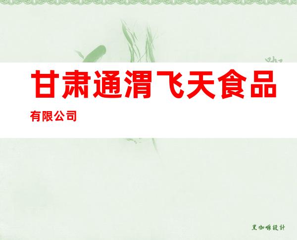 甘肃通渭飞天食品有限公司