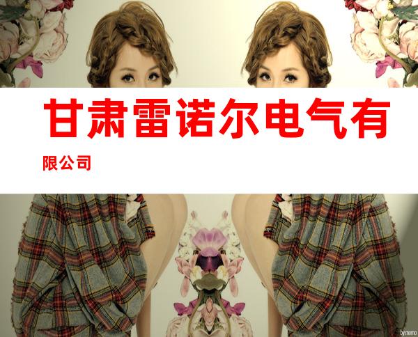 甘肃雷诺尔电气有限公司