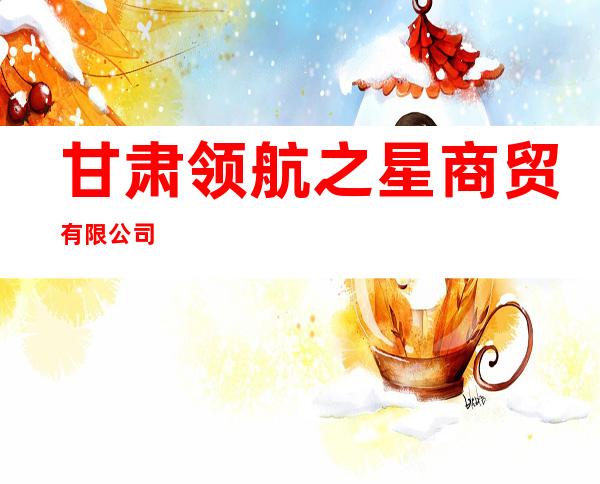 甘肃领航之星商贸有限公司