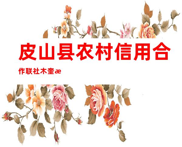 皮山县农村信用合作联社木奎拉信用社