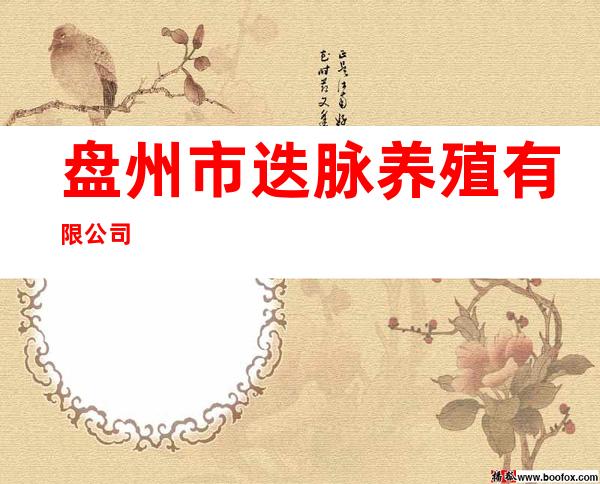 盘州市迭脉养殖有限公司