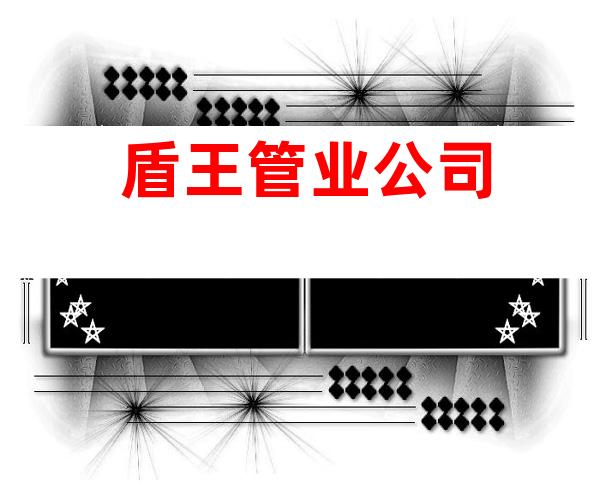 盾王管业公司