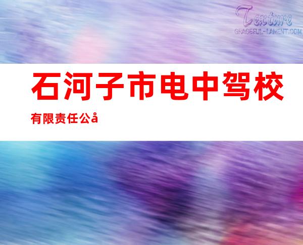 石河子市电中驾校有限责任公司