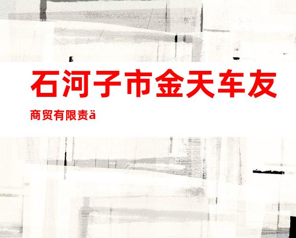 石河子市金天车友商贸有限责任公司