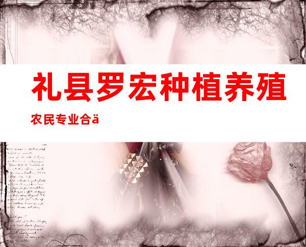 礼县罗宏种植养殖农民专业合作社