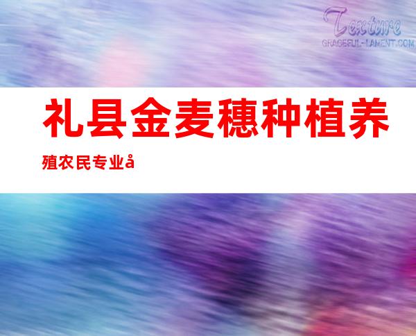 礼县金麦穗种植养殖农民专业合作社