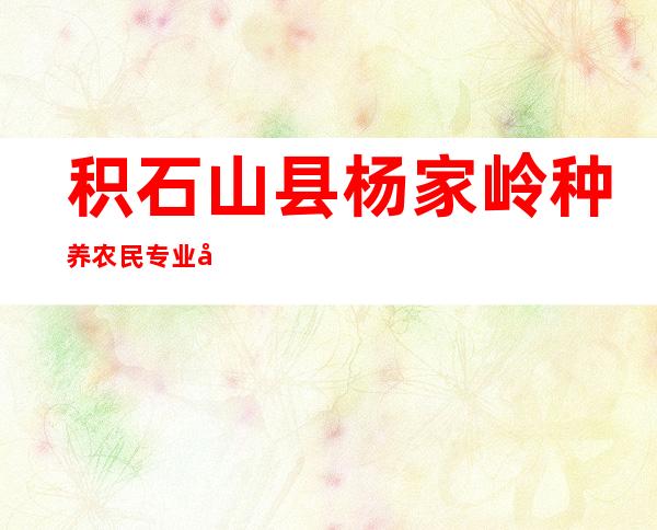 积石山县杨家岭种养农民专业合作社
