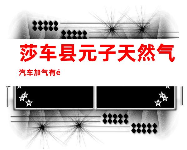莎车县元子天然气汽车加气有限责任公司
