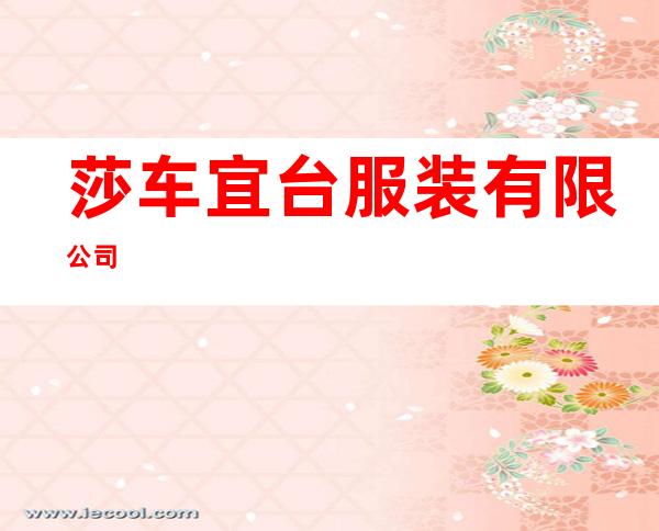 莎车宜台服装有限公司