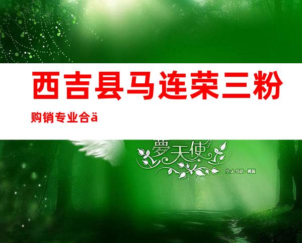 西吉县马连荣三粉购销专业合作社