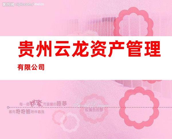 贵州云龙资产管理有限公司